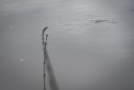 Matrix Ethos XR-S Feeder Rods 3.3m & 3.5m - imagine 15