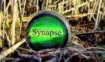 Katran SYNAPSE Wild Carp - imagine 11