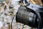 Katran SYNAPSE Wild Carp - imagine 7