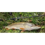 Lanseta Sakura Ryokan Fw Spin Rfws 702mh, 7-28g, 2.13m - imagine 2