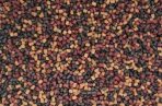 micropelete baits supreme mix - vedere de detaliu