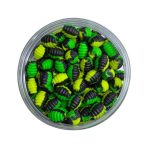 wafters special carp mini mg6639 - vedere de detaliu